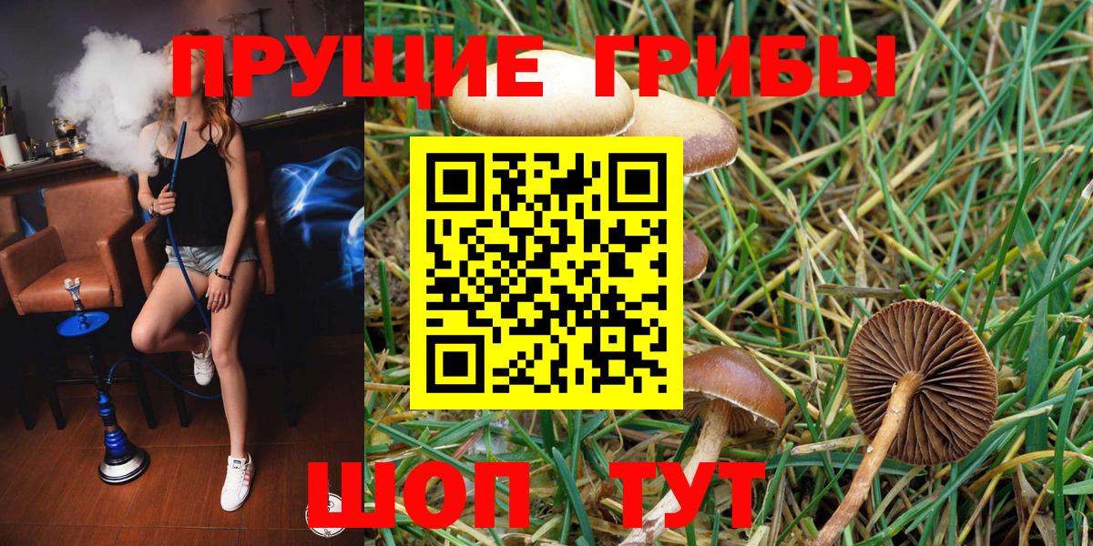 Псилоцибиновые грибы MAGIC MUSHROOMS Апатиты
