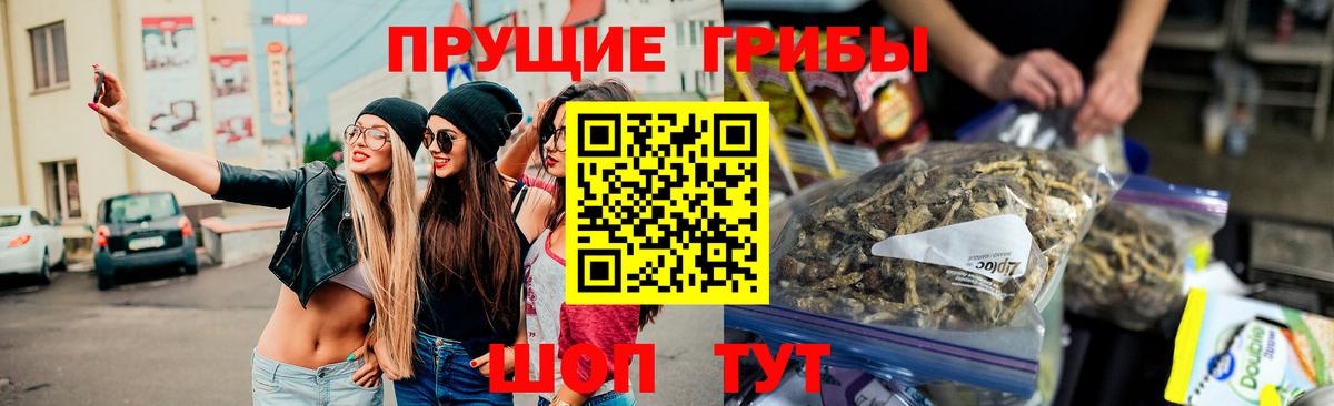 Апатиты  сколько стоит  Вход с VPN  Галлюциногенные грибы Psilocybine cubensis 